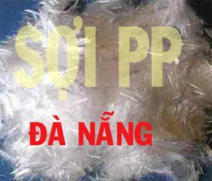 soi-pp-chong-nut-da-nang