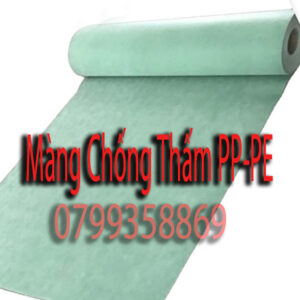 Màng Chống Thấm PP-PE
