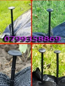 Đinh ghim nhựa bạt phủ cỏ tại Đại Lộc